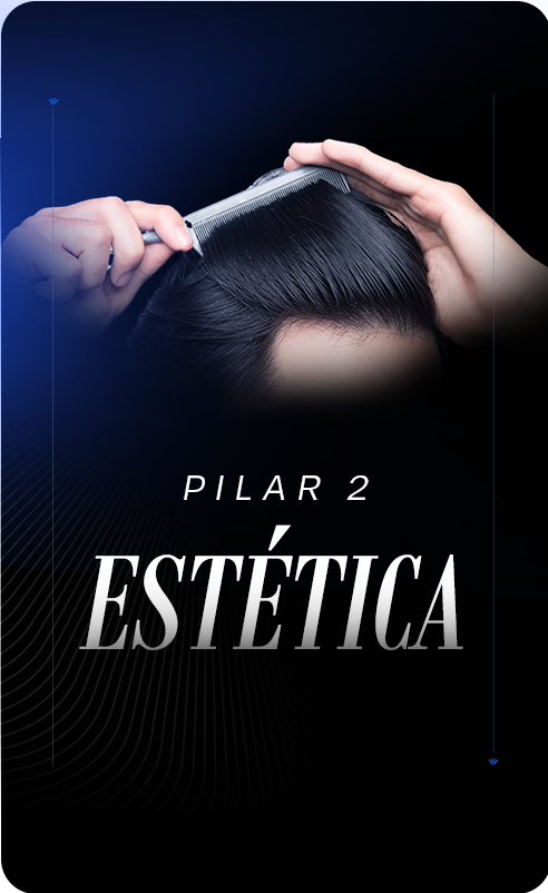 Pilar 2